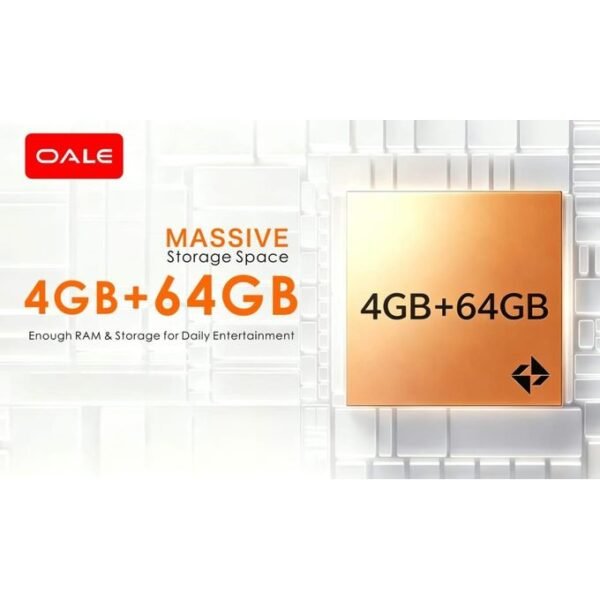 Oale Smart 20 - 6.6" 64GB ROM 4GB RAM 5075mAh 8MP - Grey